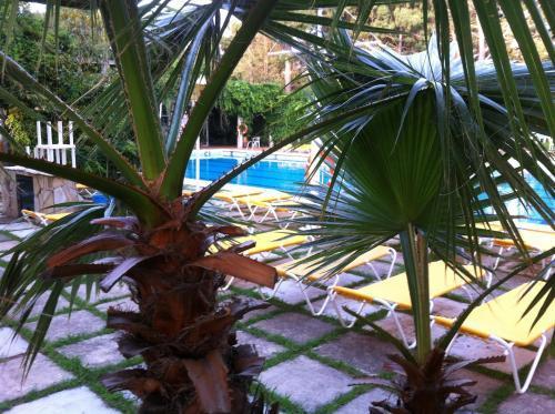 Gri-mar Hotel Llanca
